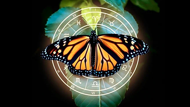 Oh, Oh Organic Inc. Partners with Evolved By Nature for Sustainable Peptides