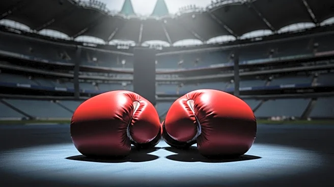 Chantelle Cameron Urges Katie Taylor for Trilogy Fight at Croke Park