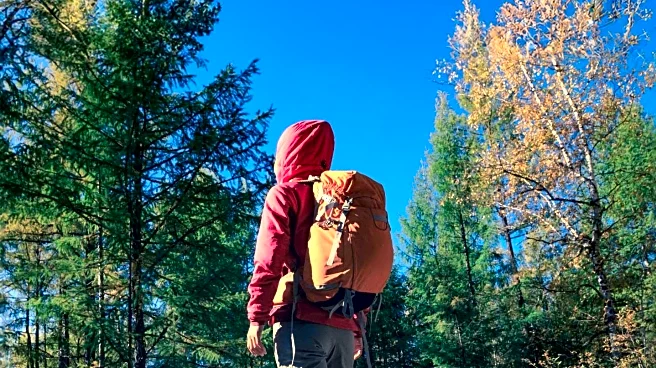 6sqft Lists Top Hiking Trails Near NYC for Fall Foliage Viewing
