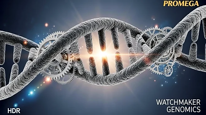 Promega and Watchmaker Genomics Partner to Enhance Molecular Analysis with Advanced Enzyme Technology