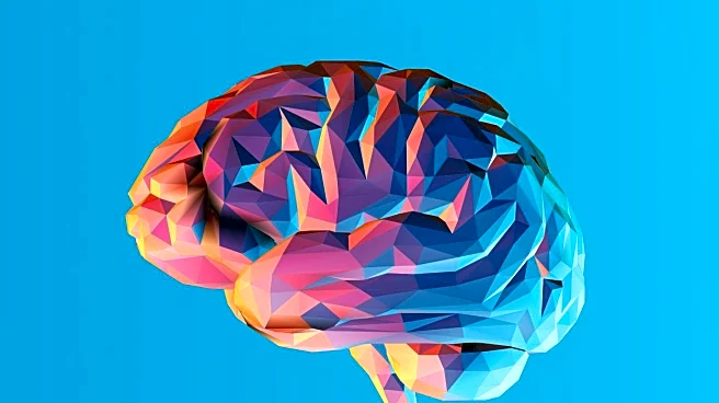 Study Links ADHD Medication to Increased Frontal Brain Volume in Children