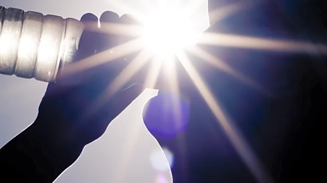 Health Experts Warn of Vitamin D Intoxication Risks and Safe Intake Guidelines