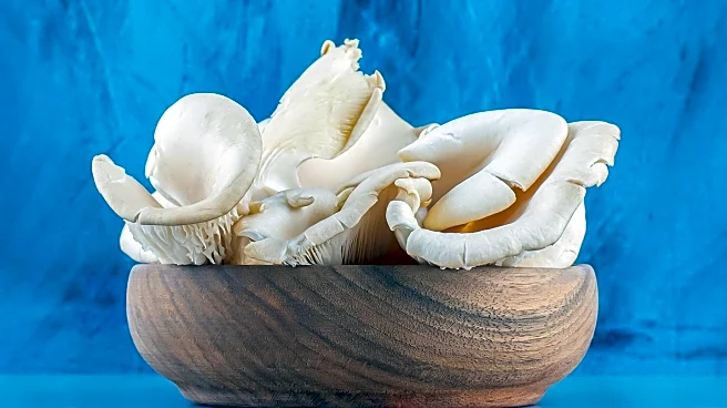 Chef Ari Kolender Demonstrates Oyster Shucking Techniques for Culinary Enthusiasts