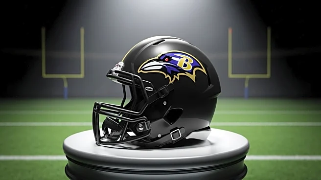 Ravens' Rasheen Ali Excels as Kick Returner in Week 1 Against Bills