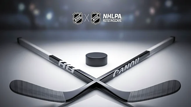 NHL and NHLPA Launch Healthcare Fund for Retired Players
