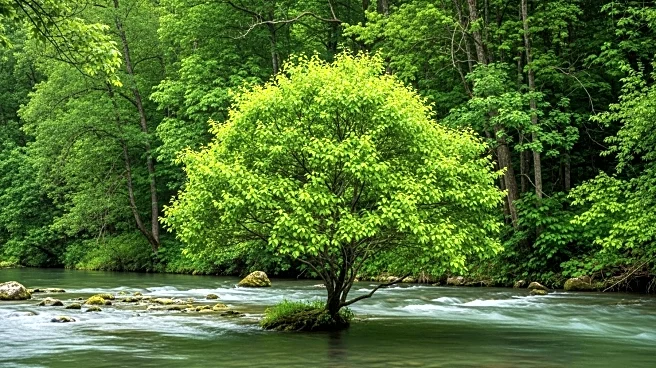 Nonprofits Urged to Avoid Greenwashing and Align Advocacy with Mission