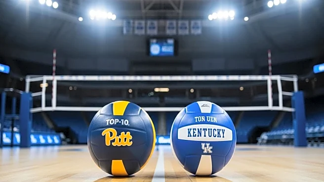 Pitt and Kentucky Volleyball Teams Face Off in Top-10 NCAA Match