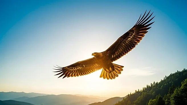 Agnico Eagle Sells Stake in Orla Mining for Over C$560 Million
