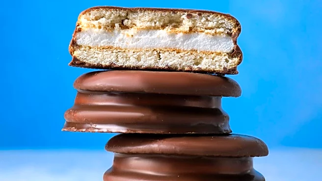 Girl Scouts Introduce New 'Exploremores' Cookie Flavor Amid Declining NYC Sales