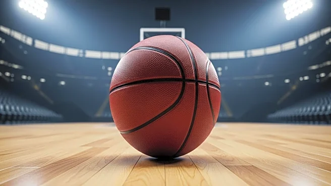 Chicago Bulls Forward Patrick Williams Criticized for Underperformance