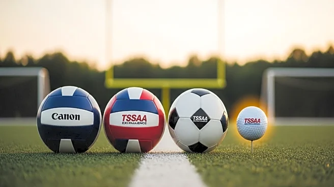 Clarksville High School Athletes Excel in TSSAA Volleyball, Soccer, and Golf
