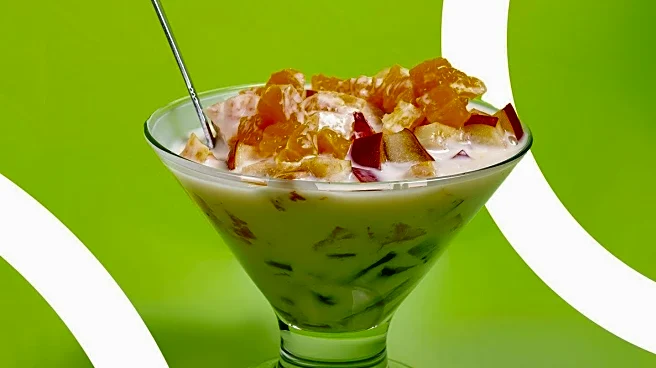 Go Greek Yogurt Expands with New Newport Beach Location