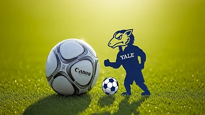 Quinnipiac Men's Soccer Draws Against Yale, Offers Hope Amid Challenging Season