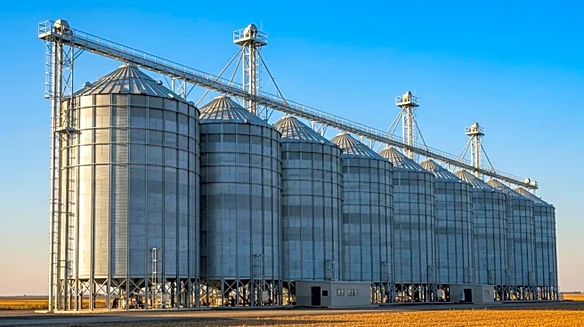 Global Agriculture Silos Market Forecasted to Grow with Advanced Storage Solutions