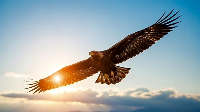 Agnico Eagle Divests Stake in Orla Mining for C$560 Million