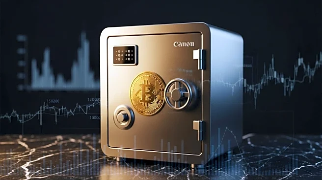 Investors Retreat as Bitcoin Treasury Companies Face Share Declines