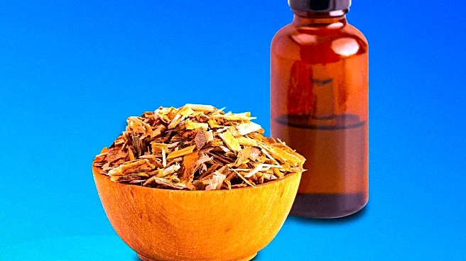 Evolv Introduces GLP-1 Supplement as Natural Weight-Loss Alternative