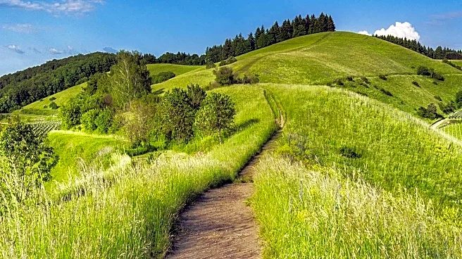 Trail Running on Oregon's Sauvie Island Offers Scenic Views and Seasonal Delights