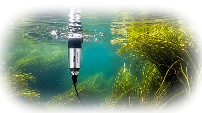 New Acoustic Tool Enhances River Ecosystem Monitoring