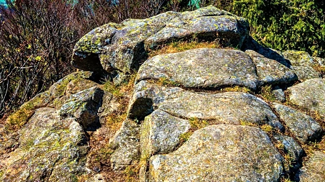 Roan Mountain State Park Hosts Nature Journaling and Salamander Night Hike for Community Engagement