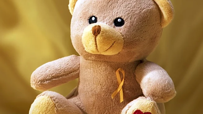 Cal's Angels Advocates for Pediatric Cancer Awareness and Support