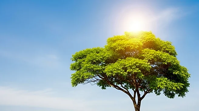Climate Change Extends Summer Temperatures, Impacting Seasonal Patterns