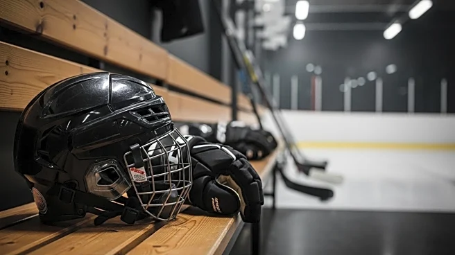Henrik Zetterberg Joins Timrå IK as Sporting Advisor to Enhance Youth Development