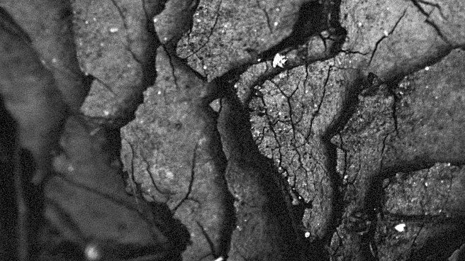 Femxphotographers Collective Promotes Collaborative Art in Photography