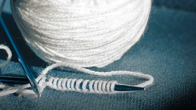 Knit Pitt Yarn Club Engages Community with Knitting Lessons