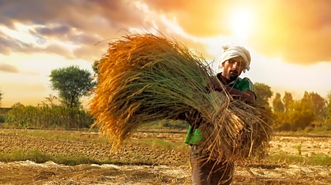 Tripura's Agriculture Department Enhances Farmer Training for Improved Harvests