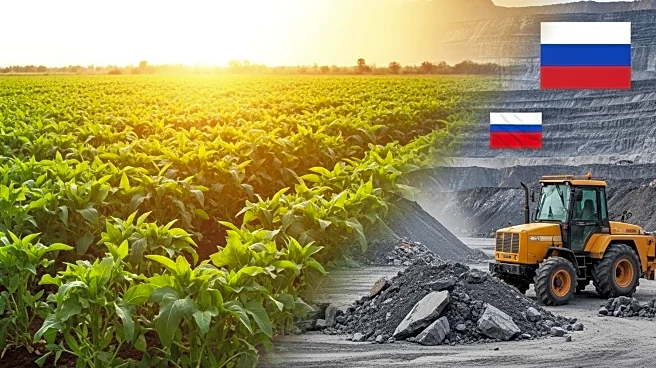 Niger State and Russia Strengthen Economic Ties in Agriculture and Mining