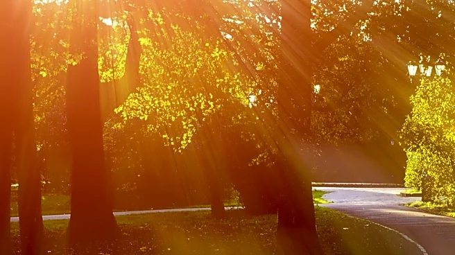 Maryland Weather Update: Morning Showers Followed by Sunny Afternoon