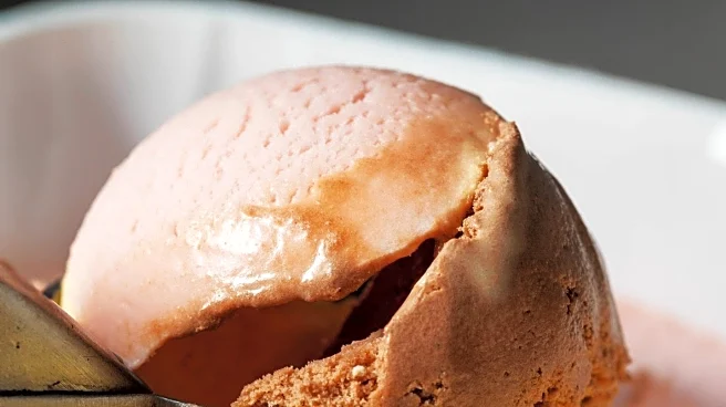 Air New Zealand Launches Search for Chief Ice Cream Tasters to Enhance Onboard Experience