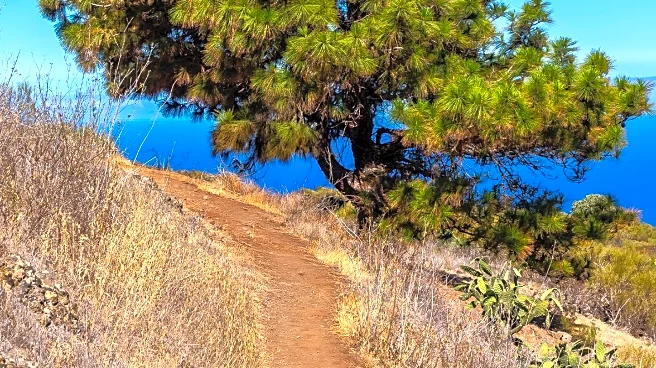 Los Angeles Hikes Offer Escape from Urban Heat