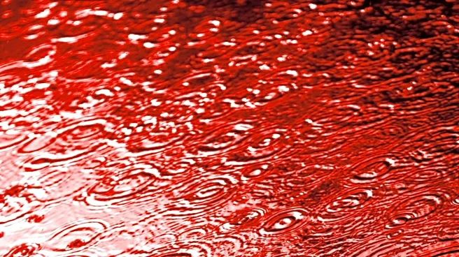 Blood Plasma Infusions Transform Lives of Patients with Immune Deficiency