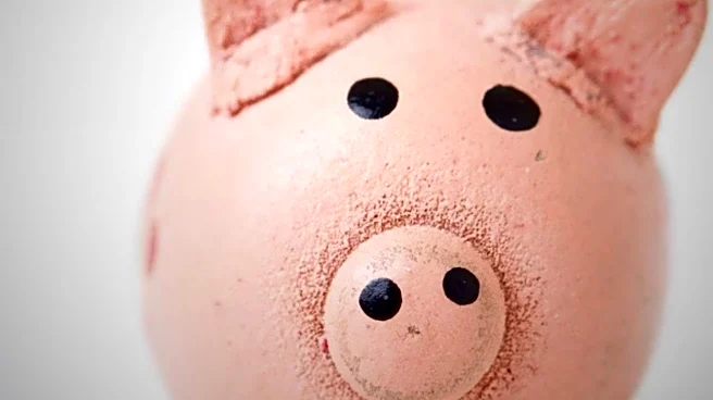 Medical Researchers Achieve First Pig Lung Transplant in Human