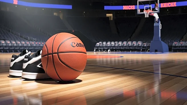 New York Knicks Sign Landry Shamet to Fill Final Roster Spot