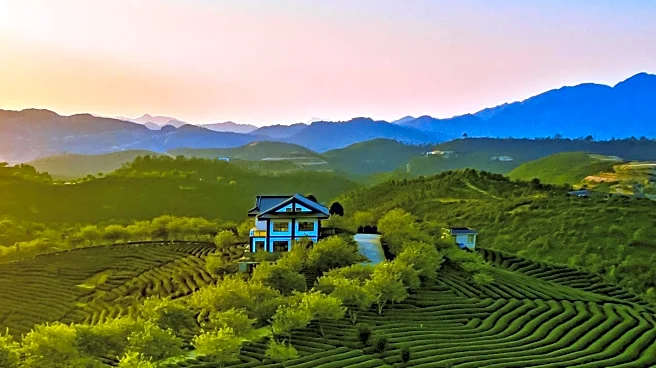 Agricultural Heritage Conference in Hunan Province Aims to Boost Rural Vitalization