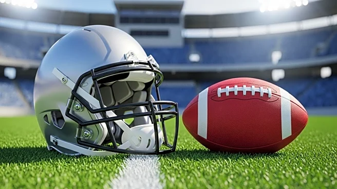 Carolina Panthers Aim for Recovery Against Arizona Cardinals After Season Opener Loss