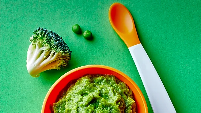 Top Baby Food Makers Simplify Homemade Food Preparation for Parents