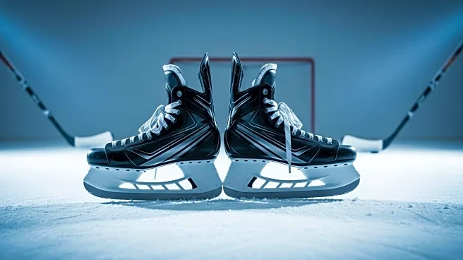 Blackhawks Defensemen Focus on Rapid Development for Upcoming Season