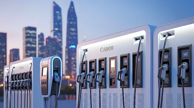 Tesla Chair Denholm Dismisses Concerns Over Musk's Political Activity Impacting Sales