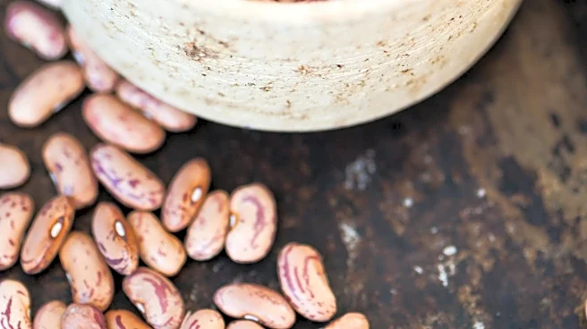 Health Experts Highlight Benefits of Beans for Longevity and Disease Prevention