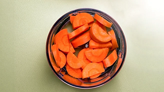Baby Food Makers Simplify Homemade Meal Preparation for Parents