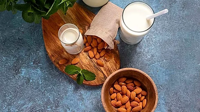 Excessive Protein Intake May Lead to Health Issues, Experts Warn