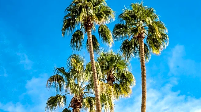 Southern California to Experience Weekend Warm-Up, Forecasts Alex Biston