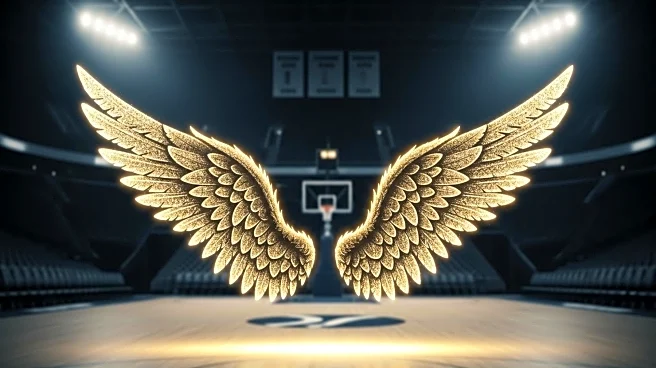 Angel Reese's Team Allegedly Rewards Fan for 'Free Angel' Shirt at Chicago Sky Game