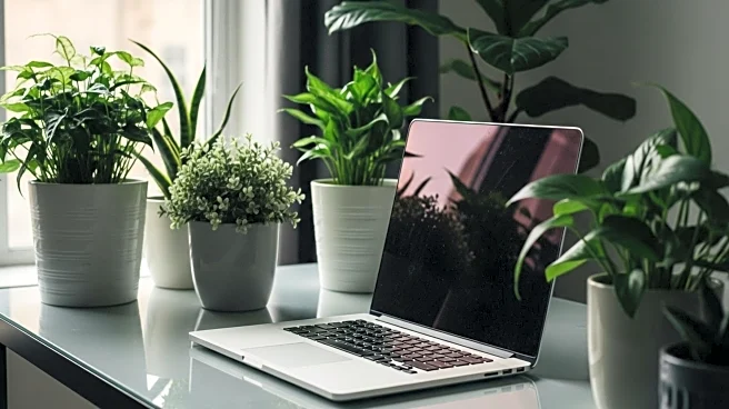 India's Tech Workforce Prioritizes Flexibility and Growth Opportunities