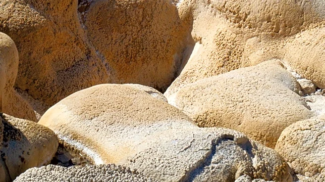 Oregon's South Beach State Park Offers Fossil Collecting and Natural Exploration