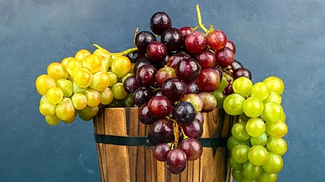 Grapefest 2025: What Visitors Can Expect at the Annual Event